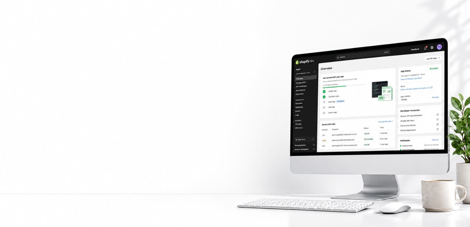 Shopify Developer workspace